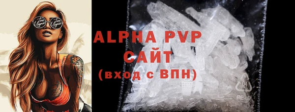 ПСИЛОЦИБИНОВЫЕ ГРИБЫ Белокуриха