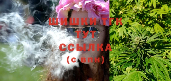 ПСИЛОЦИБИНОВЫЕ ГРИБЫ Белокуриха