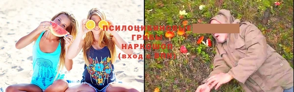 ПСИЛОЦИБИНОВЫЕ ГРИБЫ Белокуриха