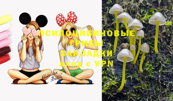 ПСИЛОЦИБИНОВЫЕ ГРИБЫ Белокуриха